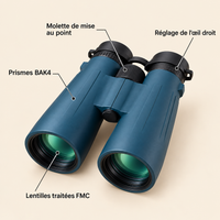 Schéma annoté des jumelles 10×50 : molette de mise au point, réglage de l'œil droit, prismes BAK4, lentilles traitées FMC